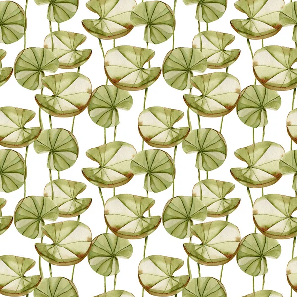 Aquarell Seerosenblätter Mit Nahtlosem Muster Handgemalt Auf Weißem Hintergrund — Stockfoto