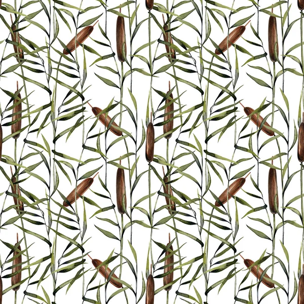 Watercolor Bulrush Seamless Pattern Hand Painted White Background — Stock Photo, Image