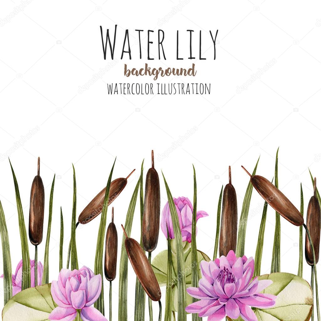 Watercolor bulrush and pink lotus background, greeting card template, artistic design background, hand painted on a white background
