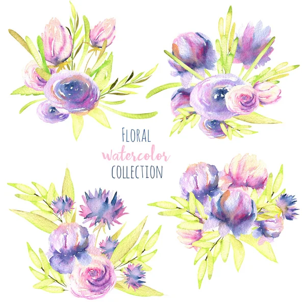 水彩紫色和粉红色的牡丹花 玫瑰和紫苑花束设置 手绘制在白色背景上隔离 — 图库照片
