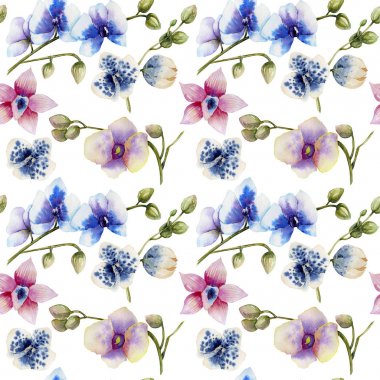 Farklı çeşitleri seamless modeli, suluboya çok renkli orkide el beyaz bir arka plan üzerine boyalı