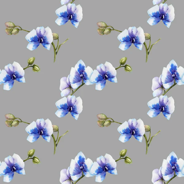 Watercolor Blue Orchids Seamless Pattern Hand Painted Grey Background — Stock Photo, Image