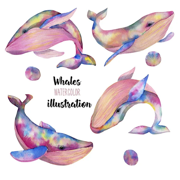 Coleção Conjunto Baleias Aquarela Pintado Mão Isolado Fundo Branco — Fotografia de Stock