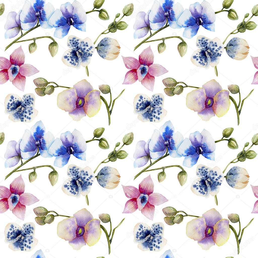 Watercolor multicolored orchids of different varieties seamless pattern, hand painted on a white background