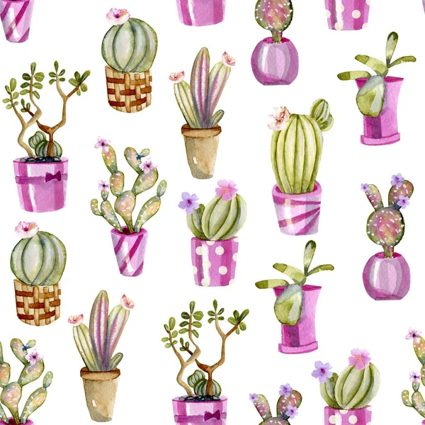 Watercolor Cactuses Pink Pots Seamless Pattern Hand Painted White Background — Stock Photo, Image