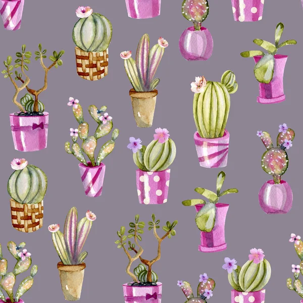 Watercolor Cactuses Pink Pots Seamless Pattern Hand Painted Grey Background — Stock Photo, Image