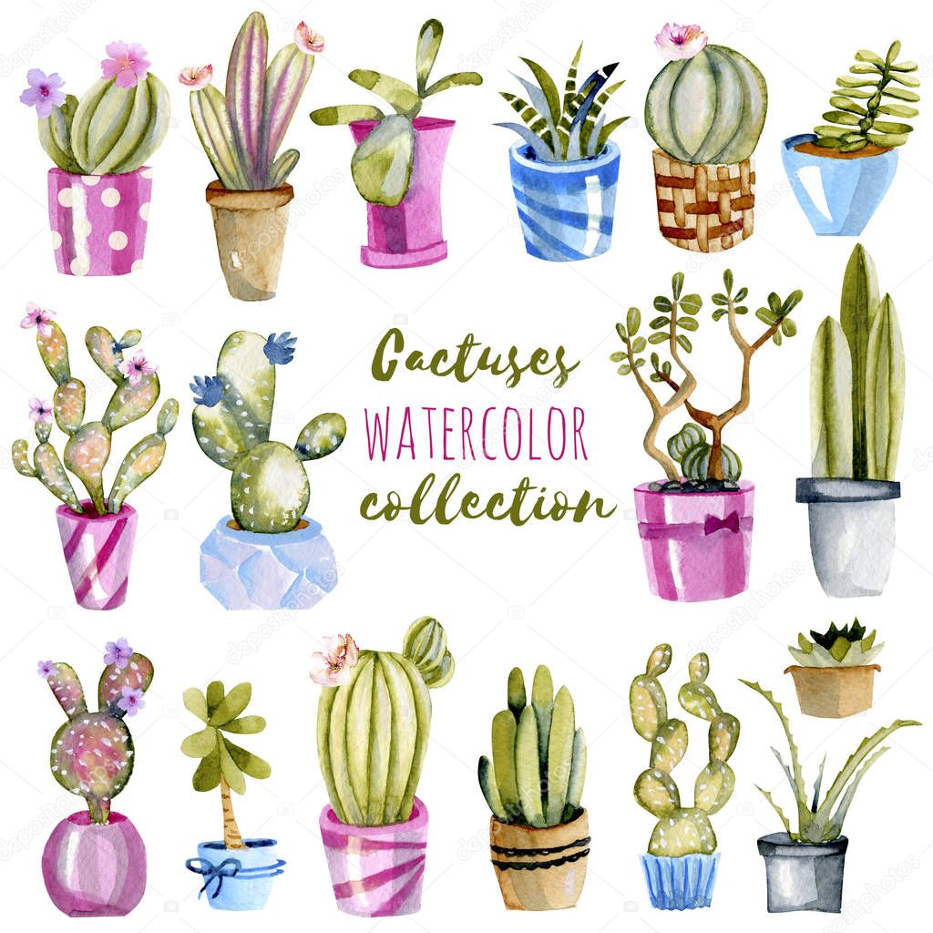 Watercolor cactuses in a pots illustrations set, hand painted on a white background