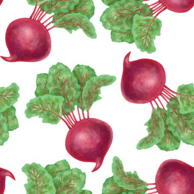 Beyaz arka planda elle çizilmiş pancar köklü pürüzsüz desen