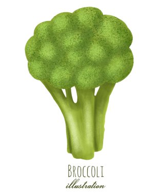 Brokoli elini beyaz arkaplanda izole bir şekilde çizdi