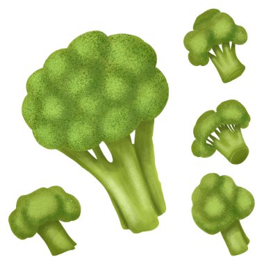 Brokoli elini beyaz arkaplanda izole bir şekilde çizdi