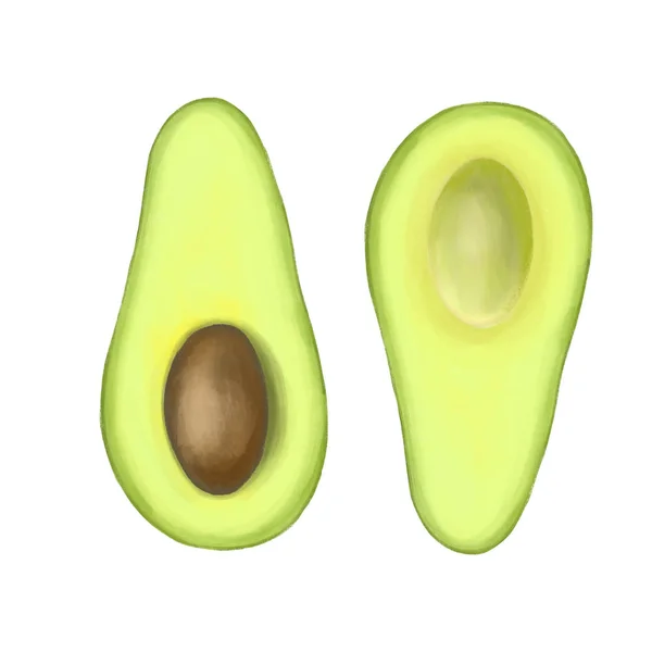 Avocado Hand Isoliert Auf Weißem Hintergrund Gezeichnet — Stockfoto