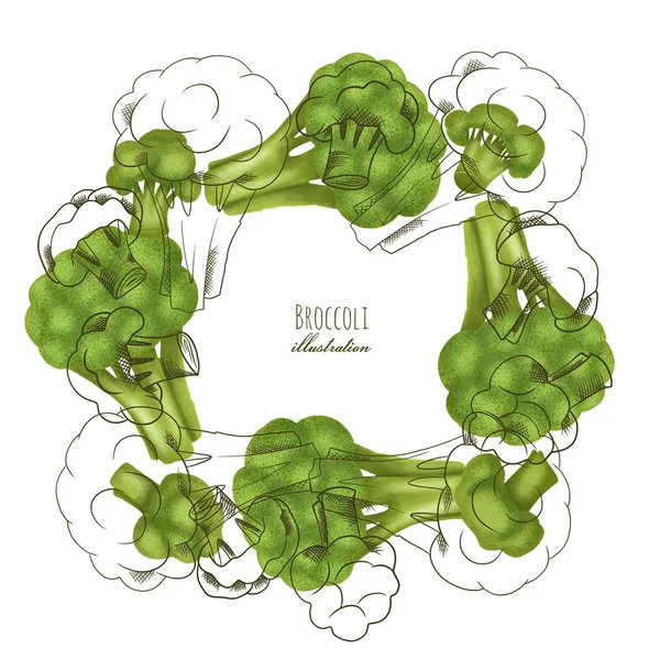 Brokoli Elle Çizilmiş Çerçeve Beyaz Arka Planda Izole Edilmiş — Stok fotoğraf