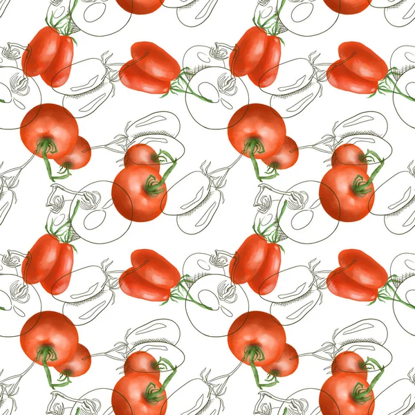 Pola Mulus Dengan Tomatin Merah Tangan Digambar Dalam Gaya Sketsa — Stok Foto