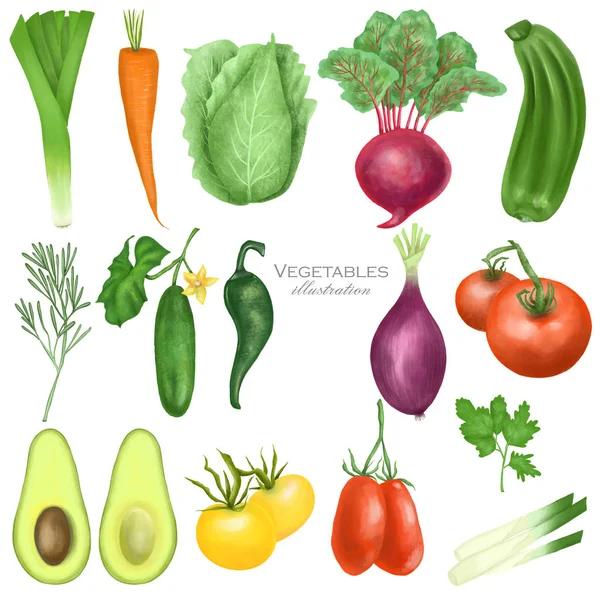 Collection Organic Vegetables Tomatos Carrot Beetroot Purple Onion Avocado Cucumber — Stock Photo, Image