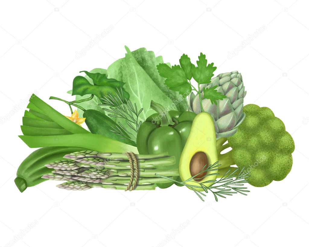 Illustration of green vegetables and fruits (avocado, pepper, cucumber, artichoke, broccoli, cabbage, asparagus), hand drawn on a white background