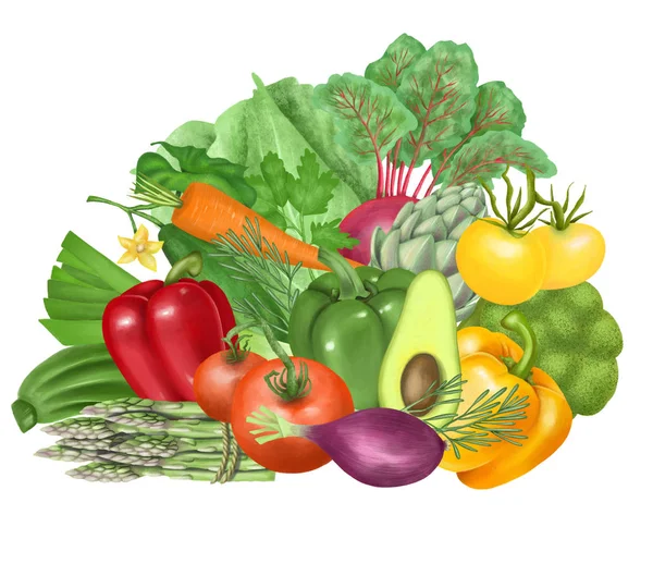 Illustration Grönsaker Tomat Morot Avokado Peppar Gurka Kronärtskocka Broccoli Kål — Stockfoto