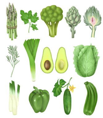 Koleksiyoncu el yeşil sebzeler (bir demet kuşkonmaz, enginar, salatalık, avokado, brokoli, dolma biber ve diğerleri), beyaz arkaplanda izole edilmiş bir illüstrasyon