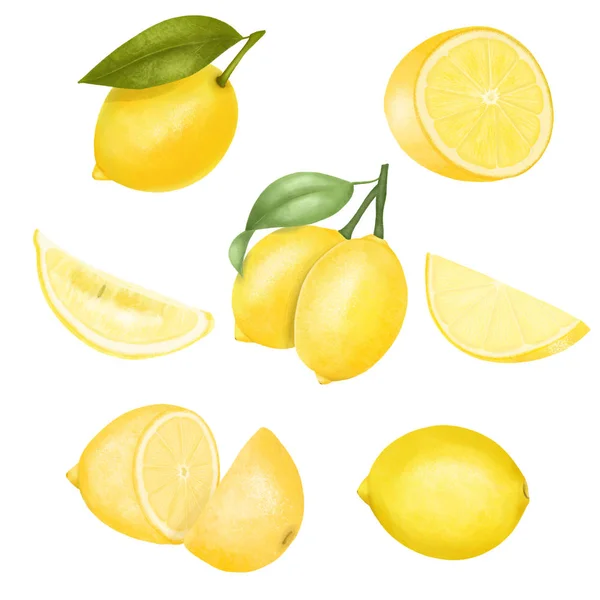 Conjunto Mão Desenhado Limões Isolados Ilustração Sobre Fundo Branco — Fotografia de Stock