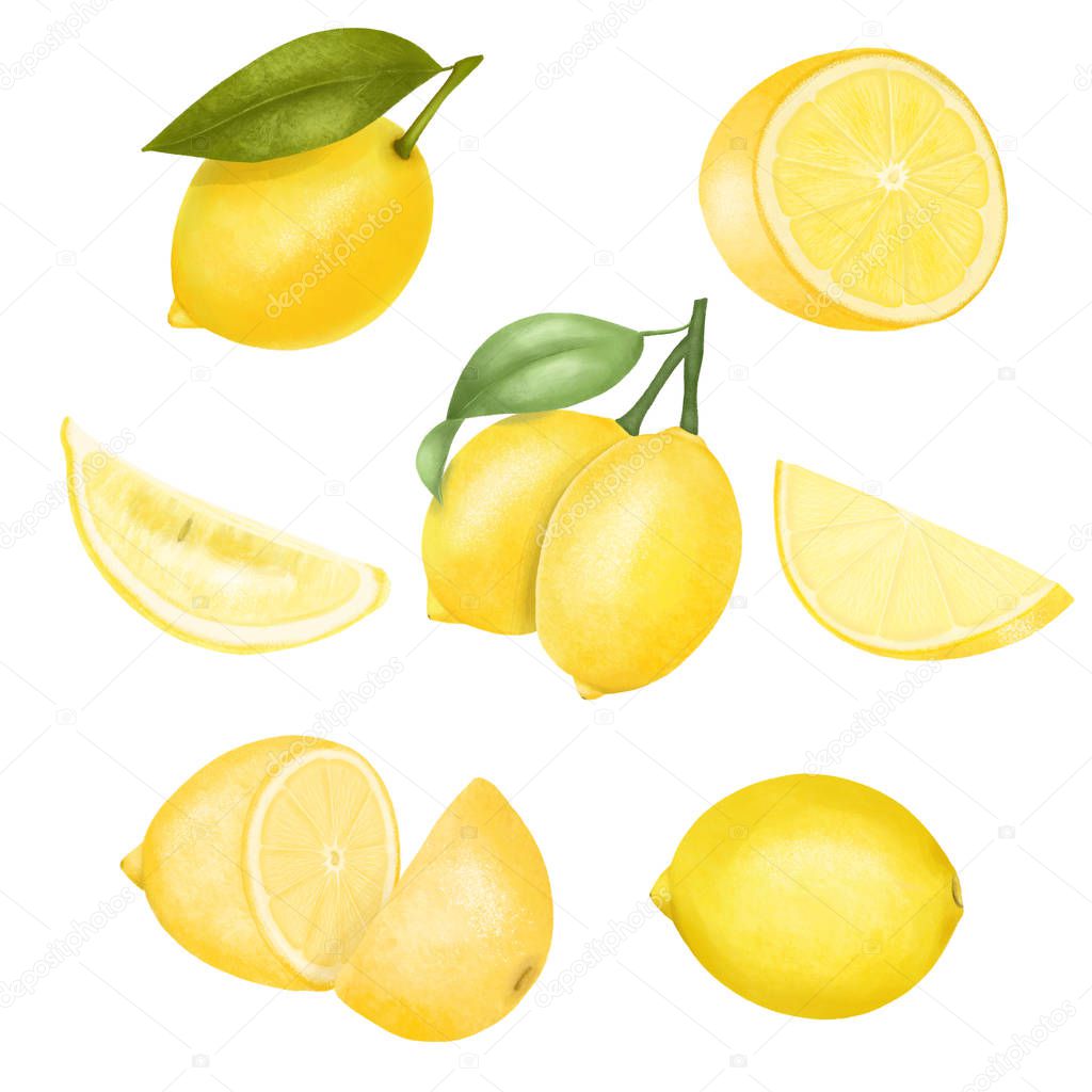 Set of hand drawn isolated lemons illustration on a white background