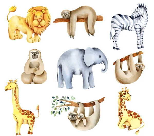 Kolekce Akvarelů Exotických Afrických Zvířat Lev Slon Lenochodi Žirafy Zebra — Stock fotografie