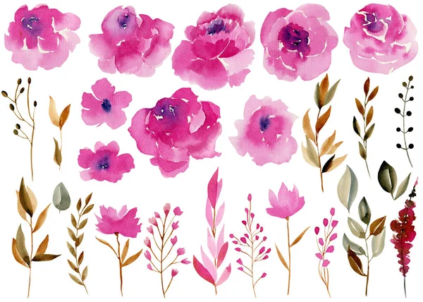 Kolekce Akvarel Květiny Listy Větve Růžové Karmínové Hnědé Barvy Ručně — Stock fotografie