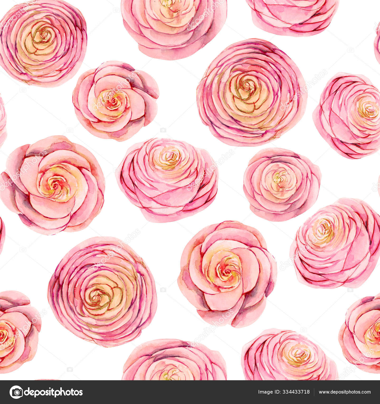 淡淡的水色粉红玫瑰芽图案手绘白色背景 免费图库图片 C Nastyasklyarova