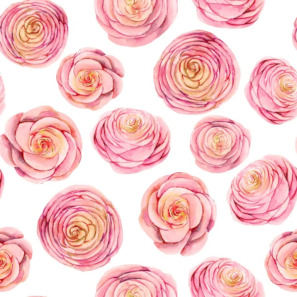 Seamless Pattern Watercolor Pink Roses Buds Hand Painted White Background — 무료 스톡 포토