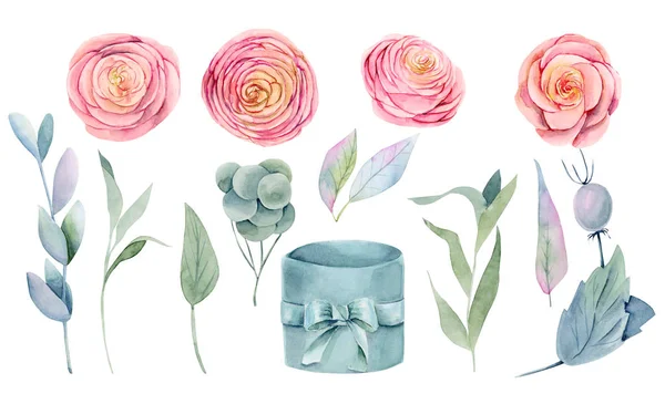 Collection Isolated Watercolor Pink Beautiful Roses Green Leaves Branches Gift — 스톡 사진