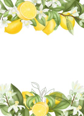 Kart şablonu, el çerçevesi beyaz arkaplanda çiçek açan limon dalları, çiçekler ve limonlar