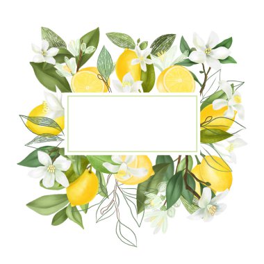 El çerçevesi çiçek açan limon dalları, çiçekler, beyaz arka planda limonlar