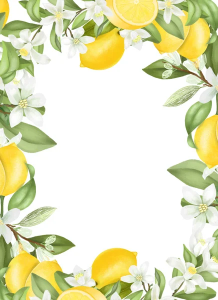 Plantilla Tarjeta Marco Ramas Limonero Florecientes Dibujadas Mano Flores Limones — Foto de Stock