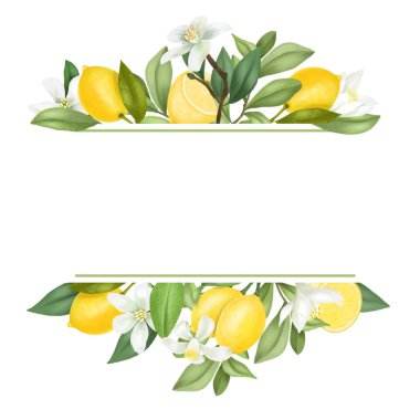 El çerçevesi çiçek açan limon dalları, çiçekler, beyaz arka planda limonlar