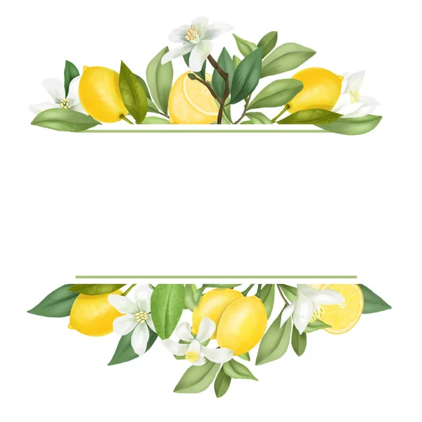 Ram Handritade Blommande Citron Träd Grenar Blommor Citroner Vit Bakgrund — Stockfoto