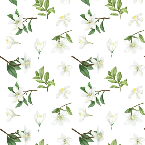Patrón Sin Costuras Con Ramas Limonero Verde Dibujado Mano Flores — Foto de Stock