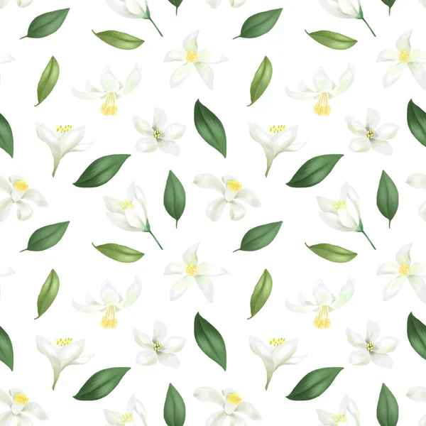 Бесшовный Узор Нарисованными Вручную Зелеными Листьями Лимонными Лаймовыми Цветами Белом — стоковое фото