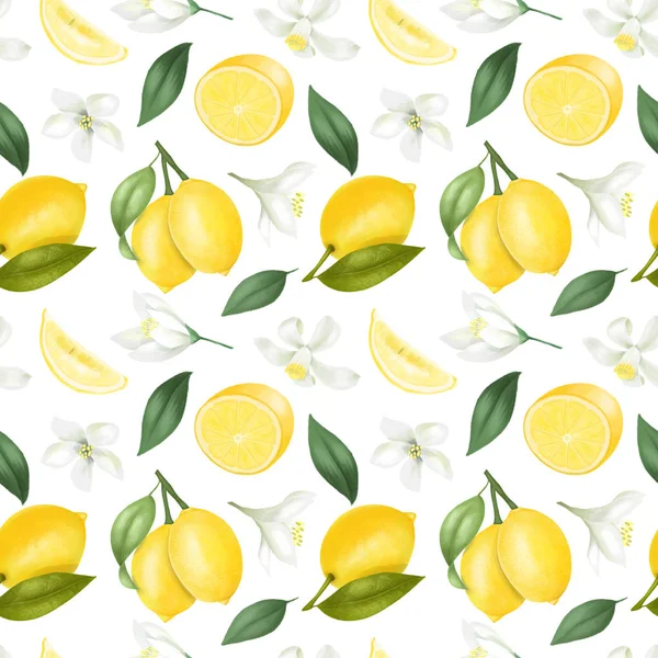 Płynny Wzór Ręcznie Rysowane Cytryny Kwiaty Cytryny Białym Tle — Zdjęcie stockowe