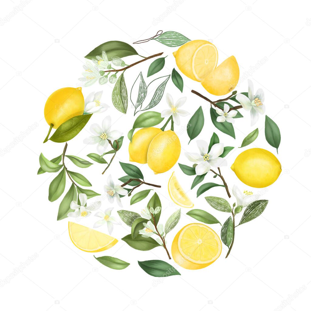Round composition of hand drawn lemon flowers, lemons, leaves and lemon tree branches, isolated on a white background