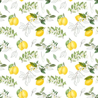 Kusursuz desenli, el çizimi, beyaz arka planda açan limon dalları.