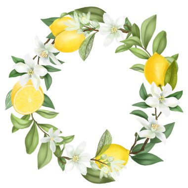 El çelengi çiçek açan limon ağacı dalları, limon çiçekleri ve limonlar, beyaz arka planda izole edilmiş çizimler.
