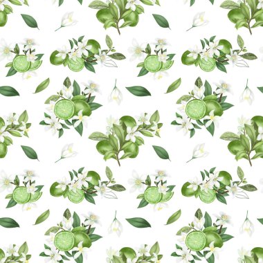 Beyaz arka planda elle çizilmiş kusursuz kireç ağacı dalları.