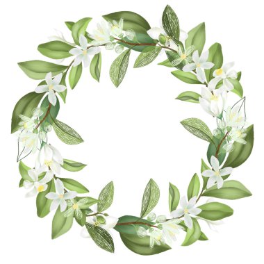 El çelengi çiçek açan limon ağacı dalları, beyaz arka planda izole edilmiş bir illüstrasyon.