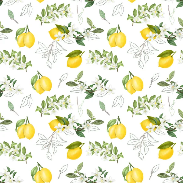 Бесшовный Рисунок Ручной Работы Цветущие Лимонные Ветви Дерева Белом Фоне — стоковое фото