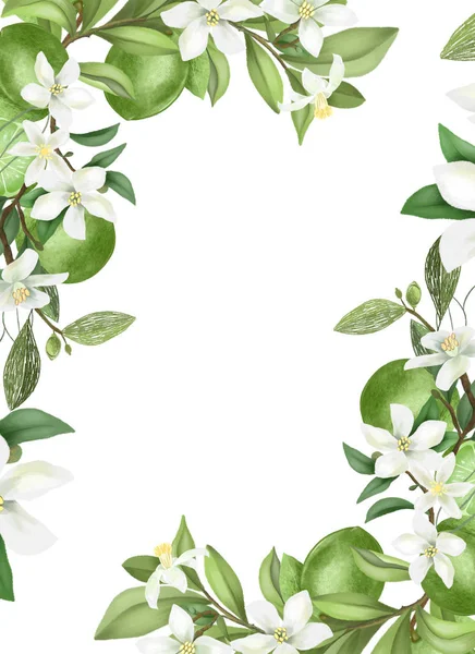 卡片模板 白色背景下的手工画框 开放的石灰树枝条 花朵和苔藓 — 图库照片