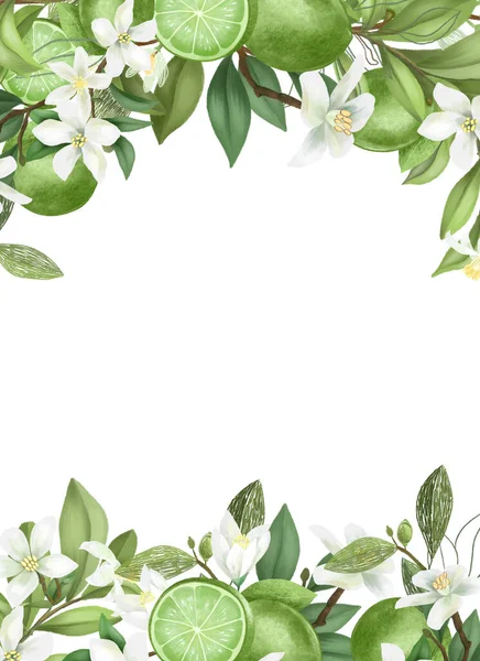 Modello Carta Cornice Rami Tiglio Fioriti Disegnati Mano Fiori Lime — Foto Stock