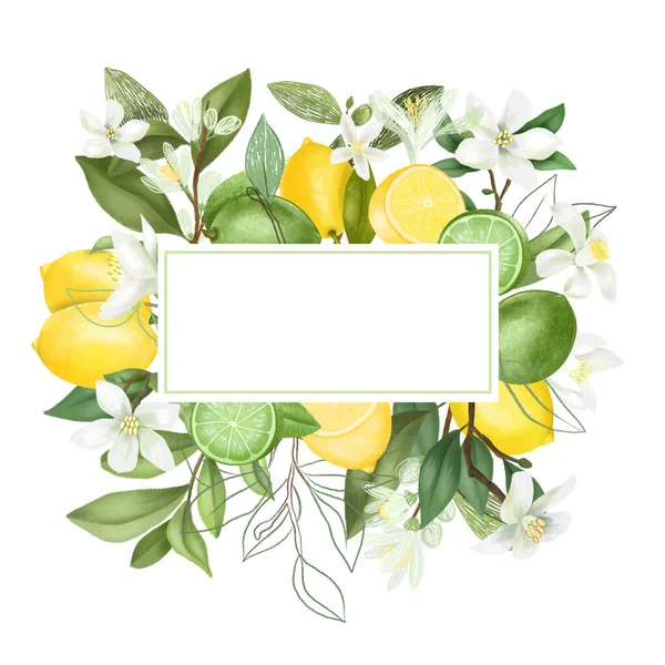 Frame Hand Drawn Blooming Lemon Lime Tree Branches Flowers Lemons — Stock Photo, Image