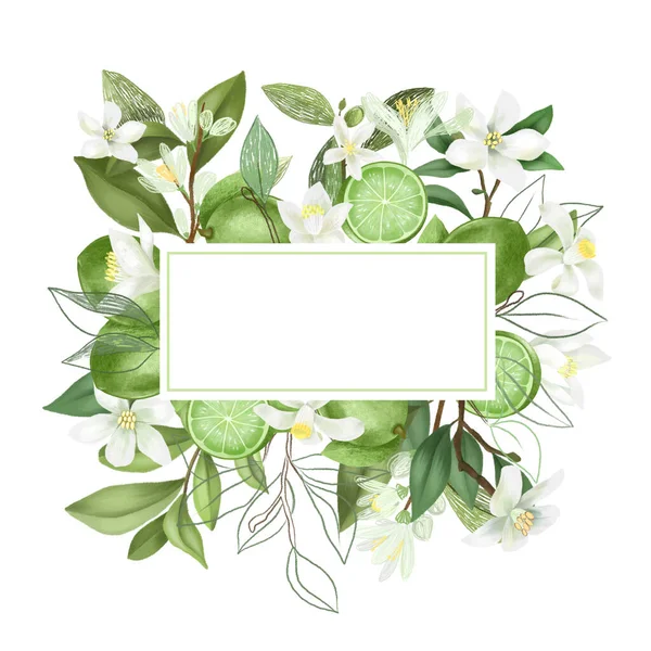 Frame Hand Drawn Blooming Lime Tree Branches Flowers Limes White — Stock Photo, Image