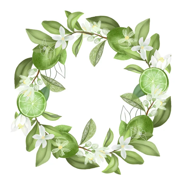 Krans Håndtegnede Blomstrende Lime Træ Grene Limefrugter Isoleret Illustration Hvid - Stock-foto