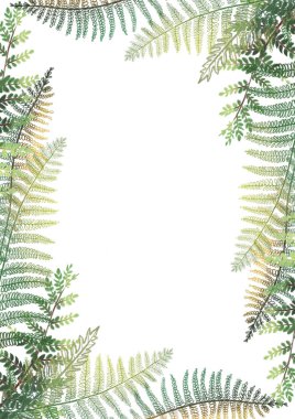 Tropik çiçekli kenar, el yapımı yeşil eğreltiotu yapraklı kart şablonu beyaz arka planda