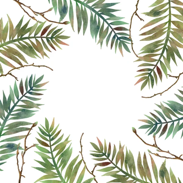 Erdő Keret Kártya Sablon Kézzel Rajzolt Zöld Páfrány Levelek Faágak — Stock Fotó
