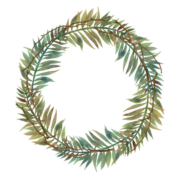 Wreath Hand Drawn Green Fern Leaves Tree Branches White Background — Stock Photo, Image